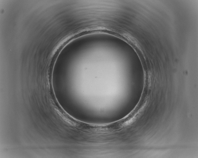 X0000075340789200609151510