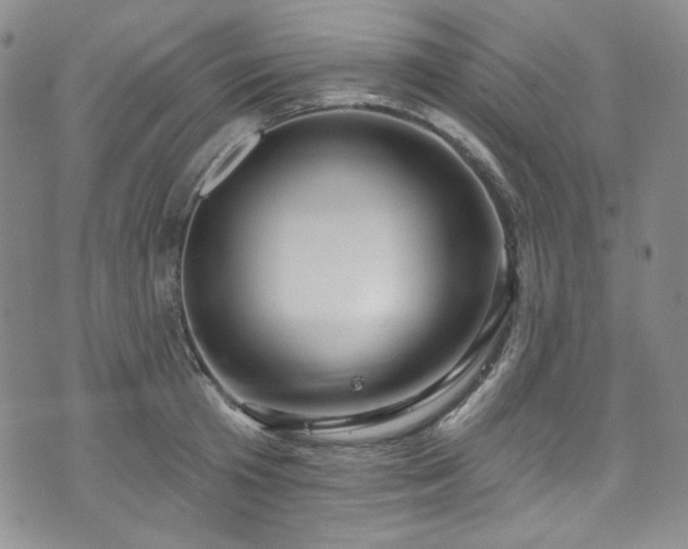 X0000075340801200609151510