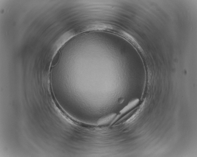 X0000075340802200609151510