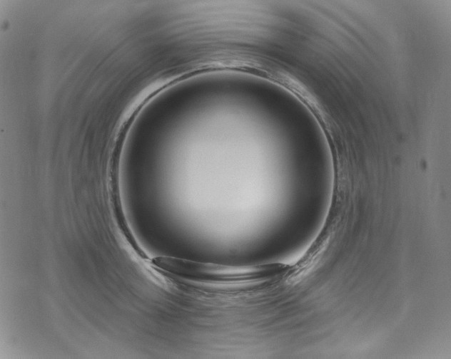 X0000075340803200609151510