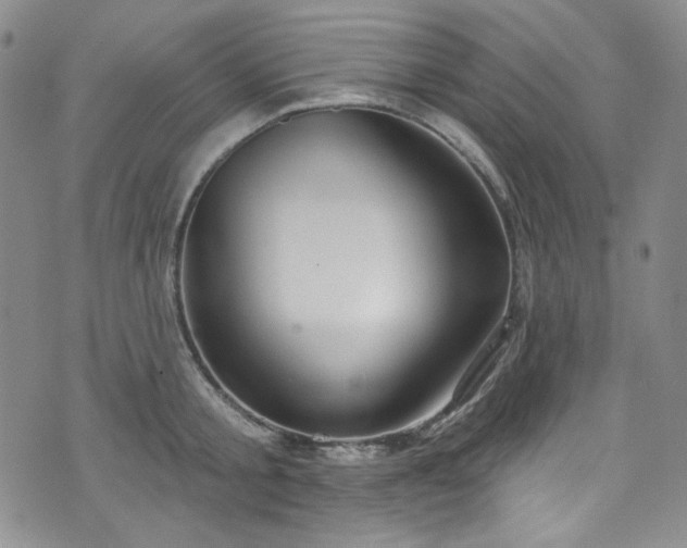 X0000075340805200609151510
