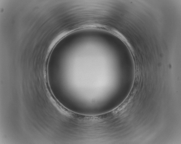 X0000075340811200609151510