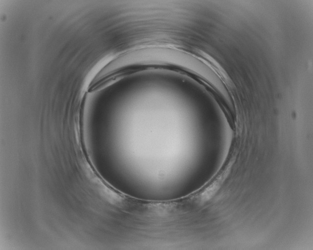 X0000075340812200609151510