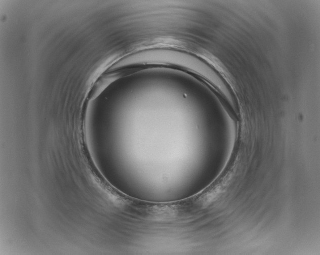 X0000075340850200609151509