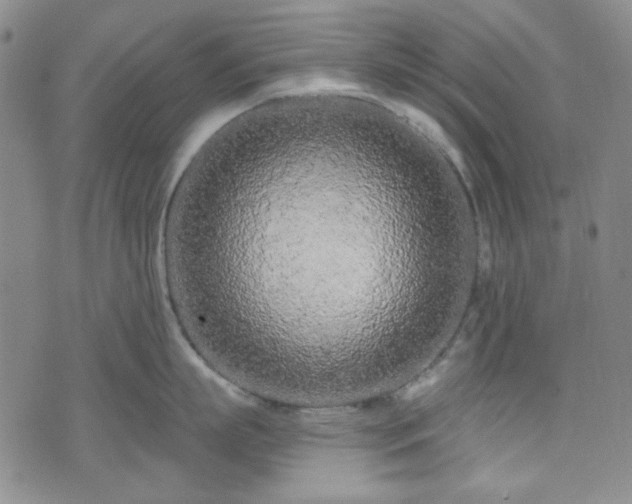 X0000075340863200609151509