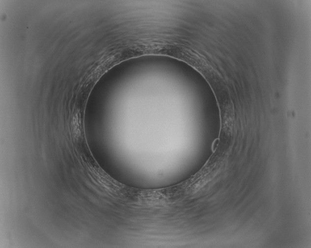 X0000075340866200609151509