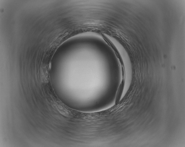 X0000075340868200609151509