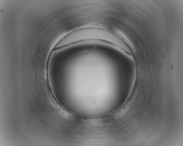 X0000075340900200609151508
