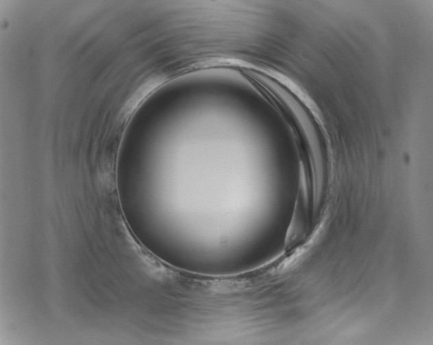 X0000075340905200609151508