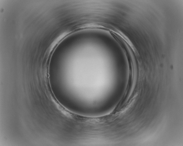X0000075340909200609151508