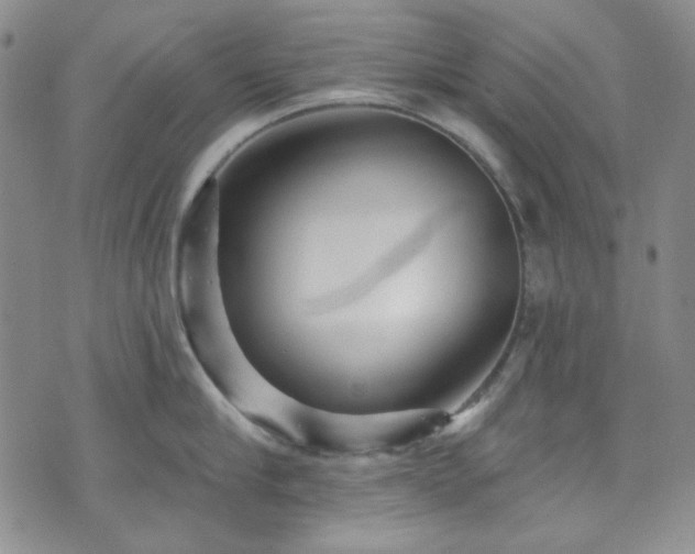 X0000075340910200609151508