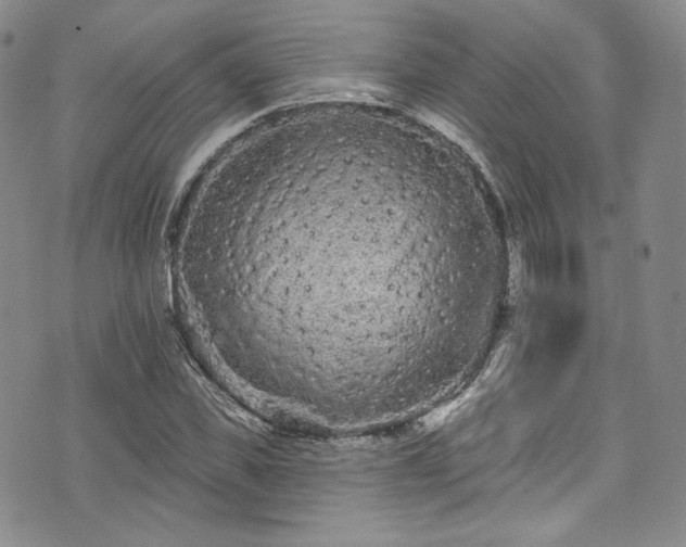 X0000075340925200609151507