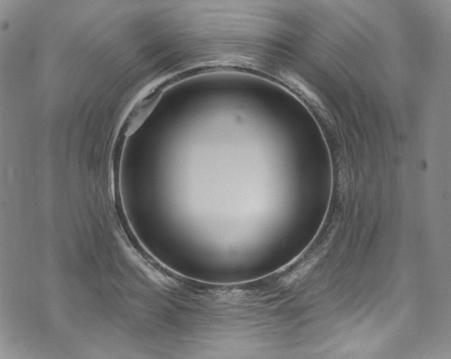 X0000075340940200609151508