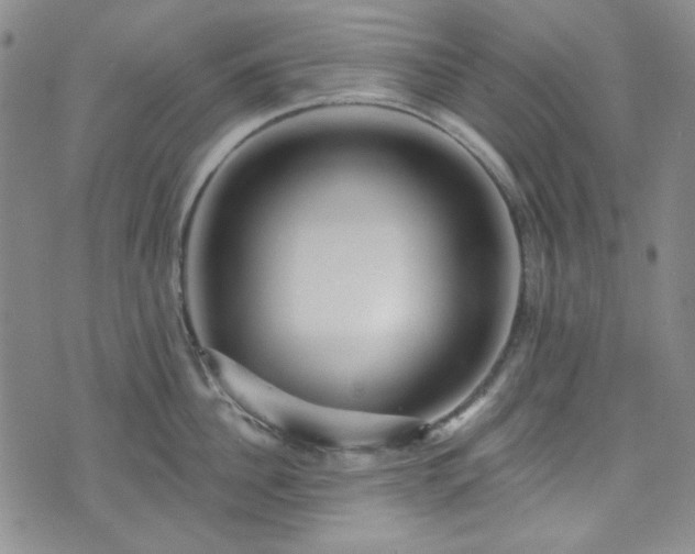 X0000075340956200609151508