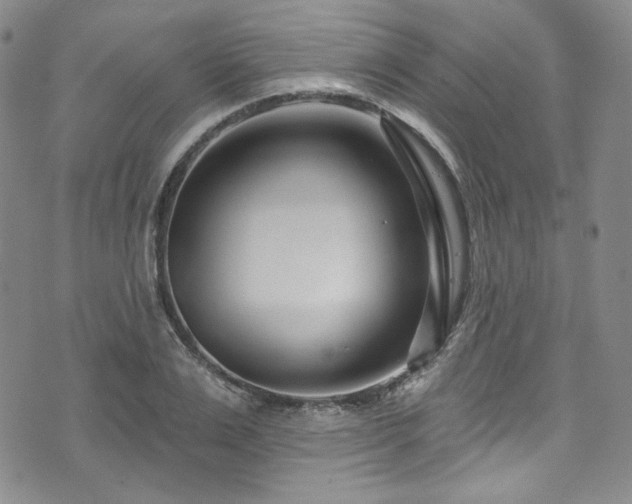 X0000075340983200609151507