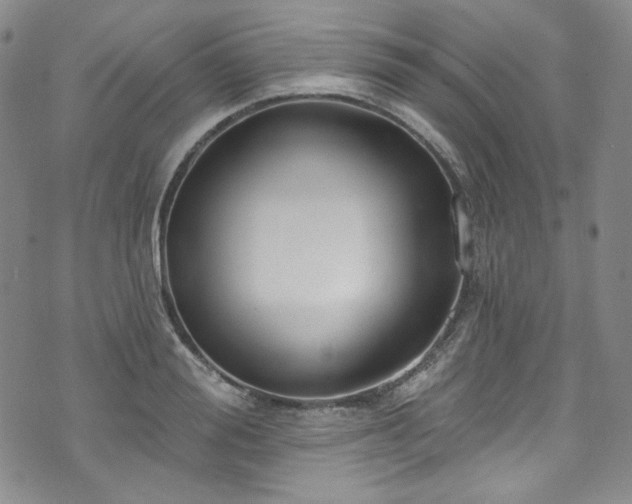 X0000075340988200609151507