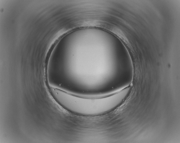 X0000075340992200609151507