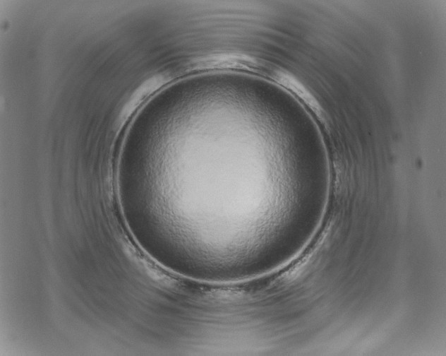 X0000075340994200609151507