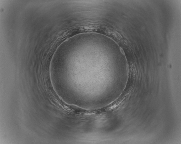 X0000075341009200609151506
