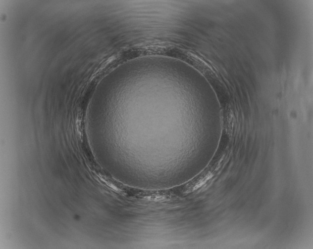 X0000075341010200609151506