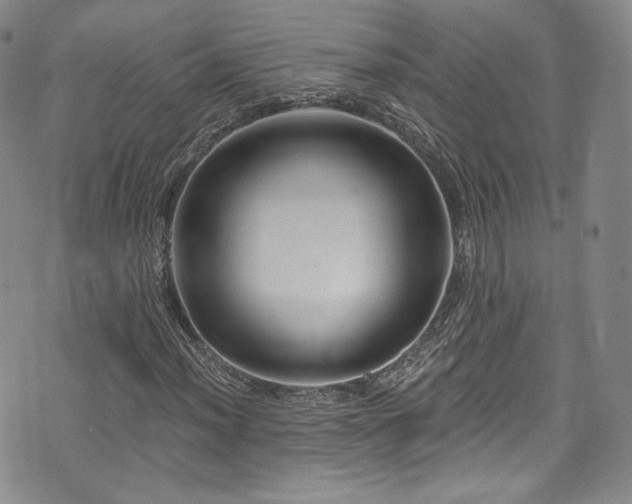 X0000075341012200609151506