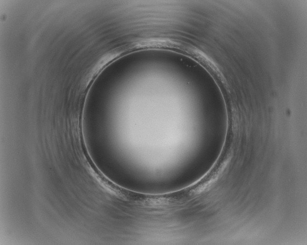 X0000075341041200609151506