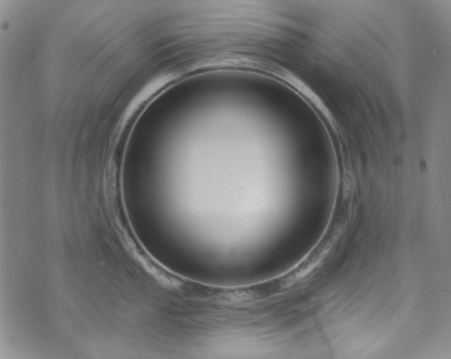 X0000075341053200609151506