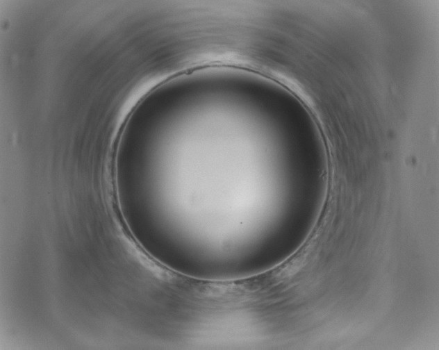 X0000075341056200609151506