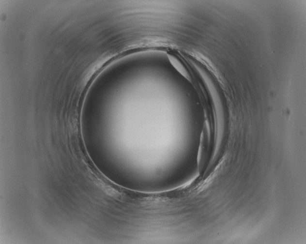 X0000075341081200609151505