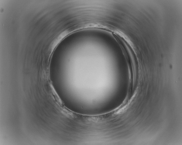 X0000075341097200609151505