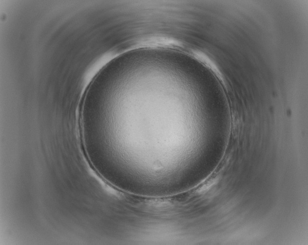 X0000075341103200609151505