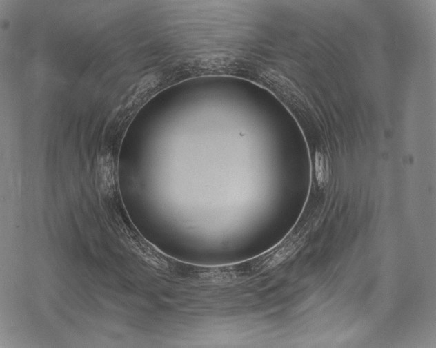 X0000075341107200609151504