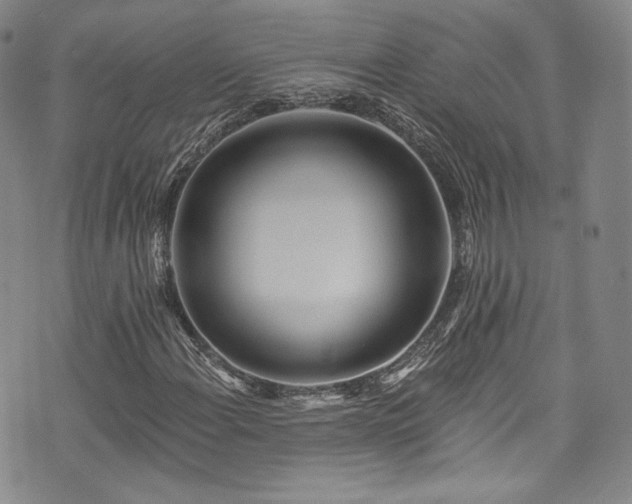 X0000075341108200609151504