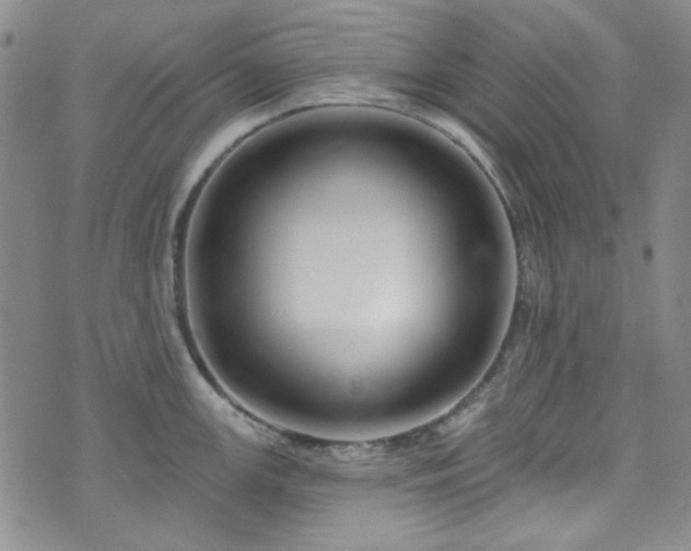 X0000075341147200609151505