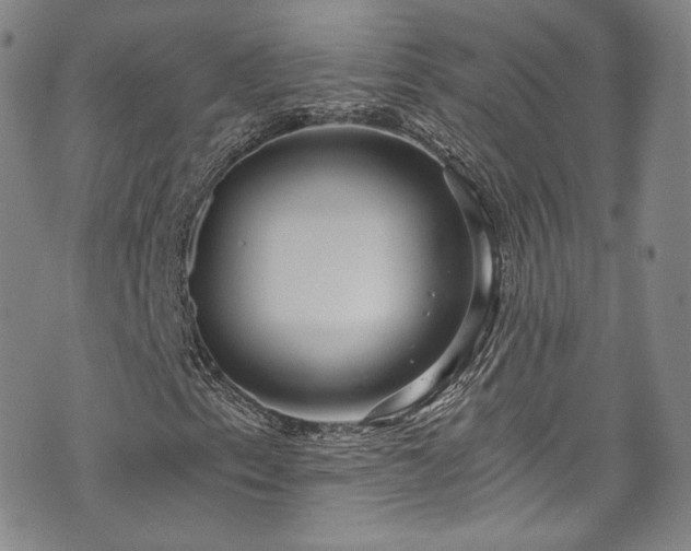 X0000075341153200609151504