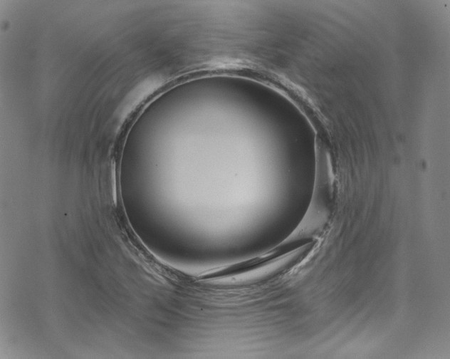 X0000075341171200609151504