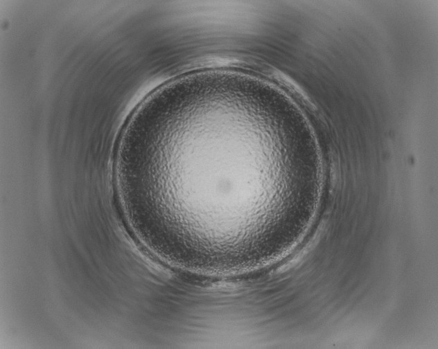 X0000075341178200609151504