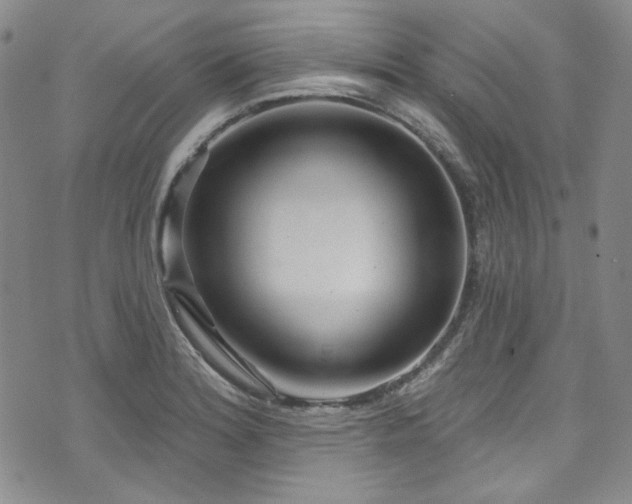 X0000075341180200609151504