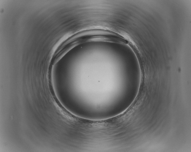 X0000075341181200609151504