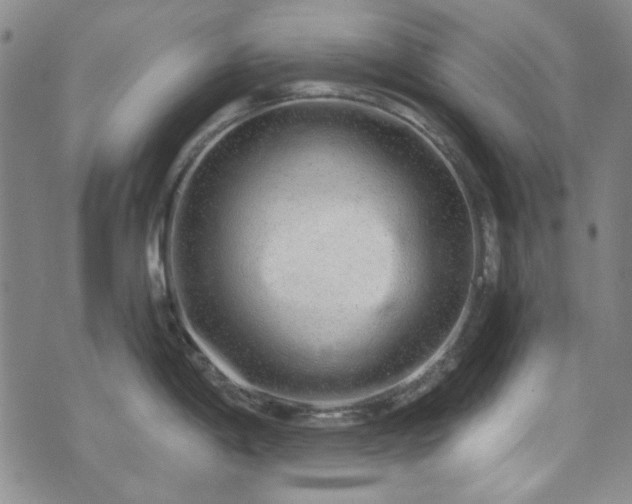 X0000075341198200609151503