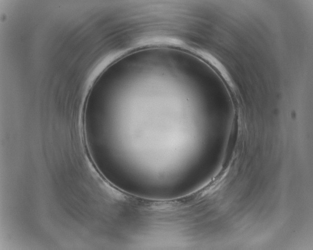 X0000075341199200609151503