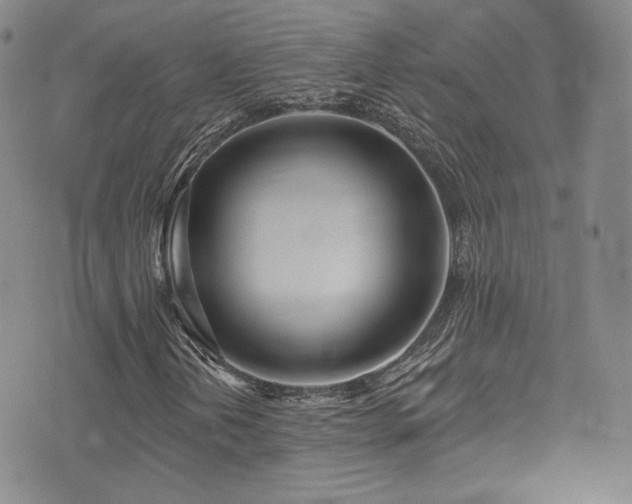 X0000075341202200609151502