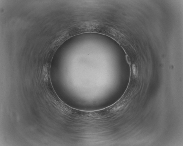 X0000075341203200609151502