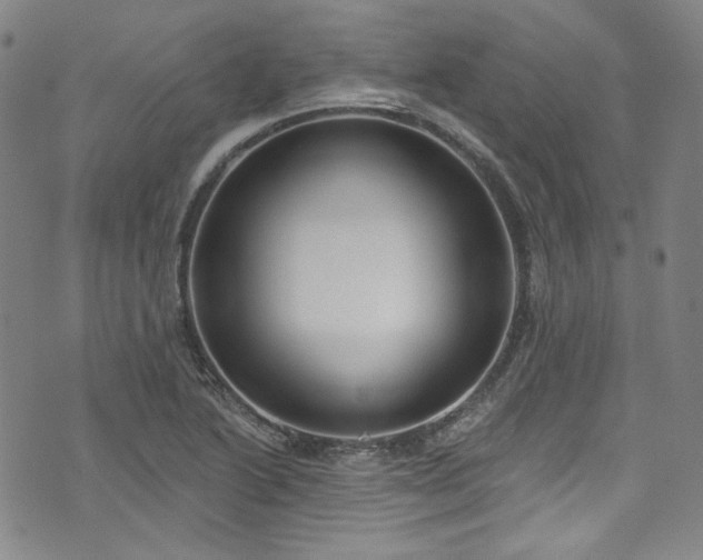 X0000075341222200609151503
