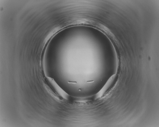 X0000075341234200609151503