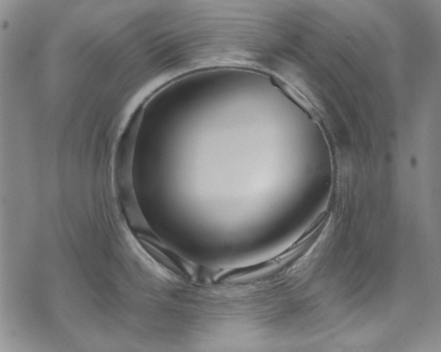 X0000075341246200609151503