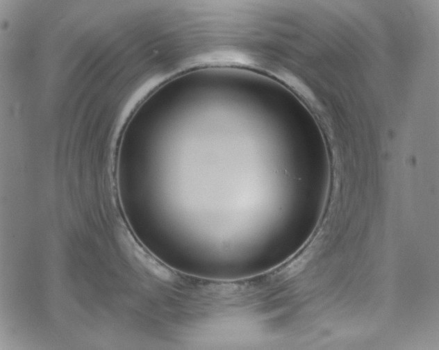 X0000075341248200609151503