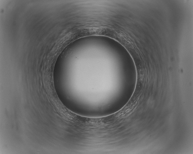 X0000075341249200609151502