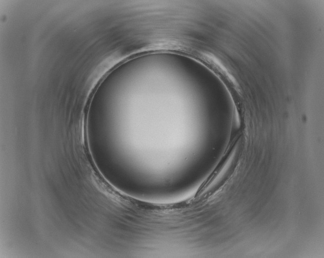X0000075341276200609151502