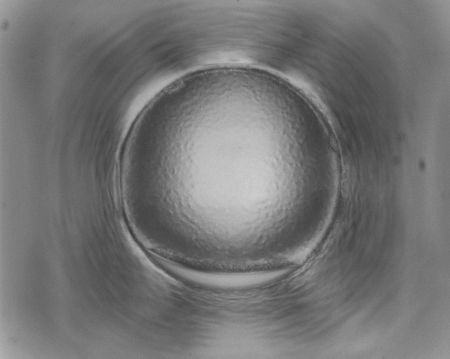 X0000075341295200609151502